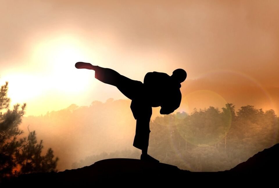 Día Mundial del Karate