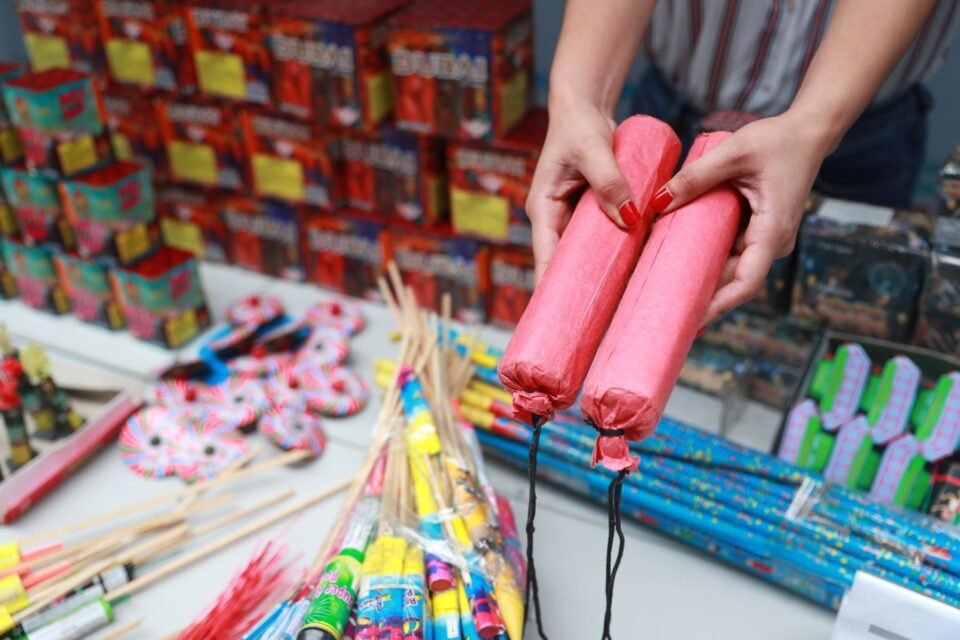 Conocé las razones para no usar pirotecnia en Año Nuevo