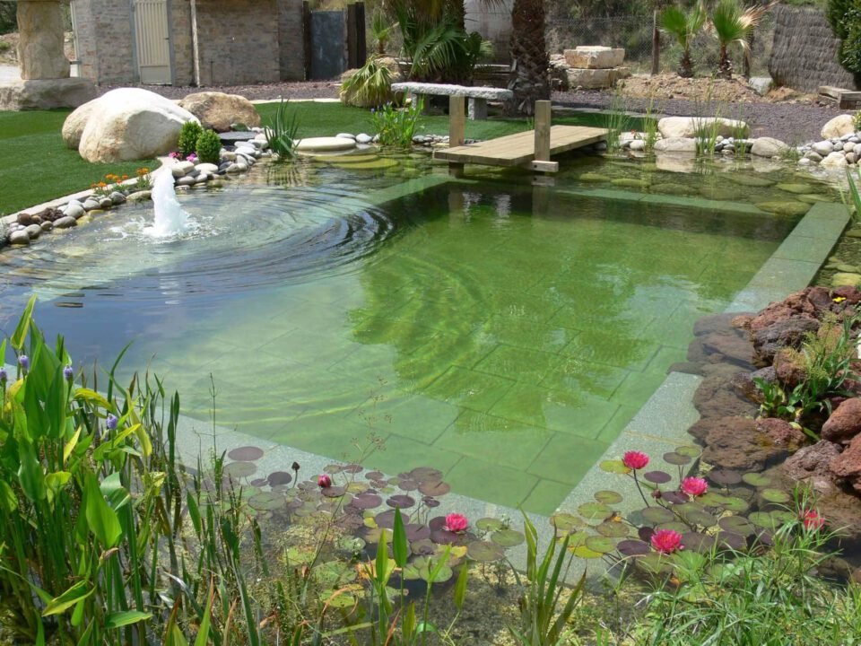 Qué son las piscinas naturales 