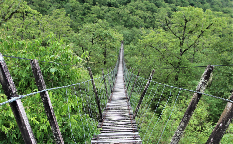 El Puente Colgante de Guerrero: Una aventura por descubrir 