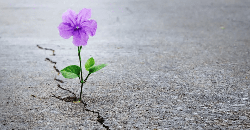 Día Internacional del Síndrome de la Hemiplejia Alternante