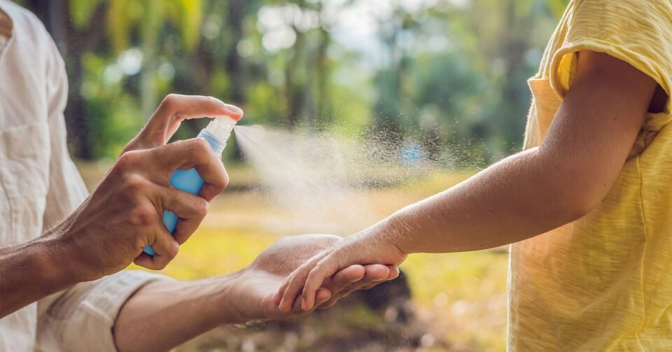 Cuál es el mejor repelente casero de mosquitos 