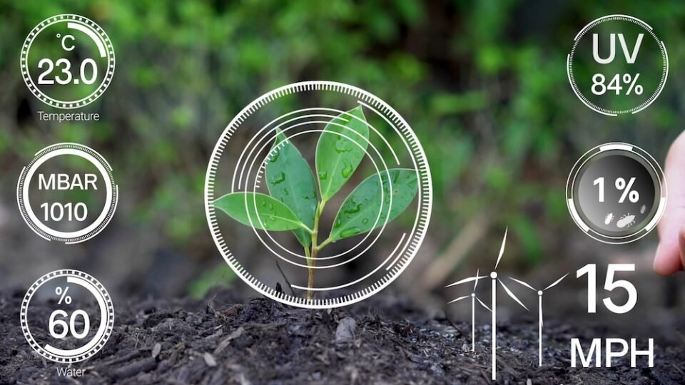 La Inteligencia Artificial ayuda a combatir el cambio Climático