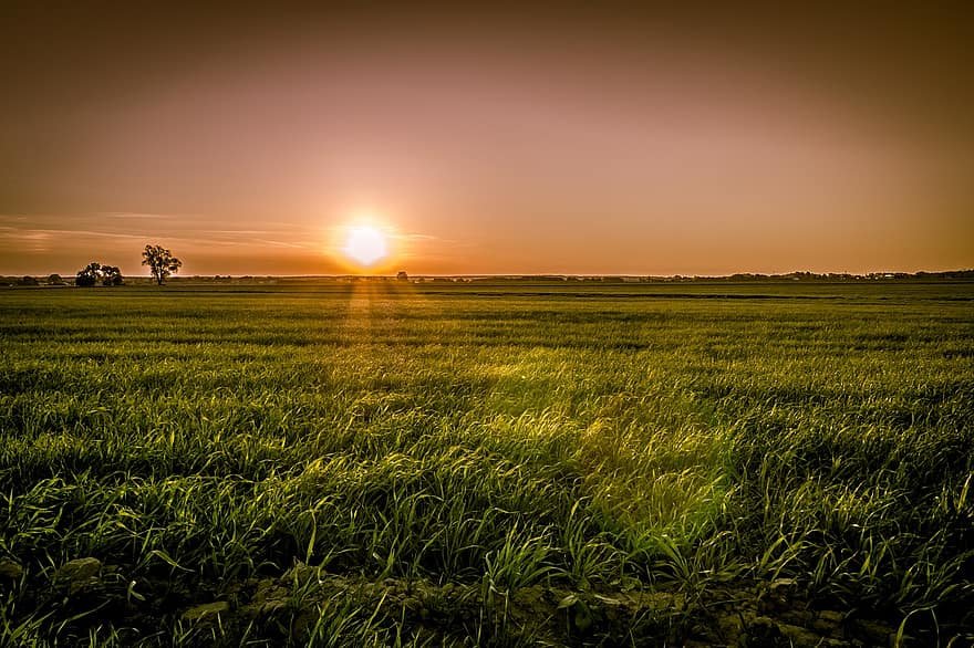 Día Mundial del Campo