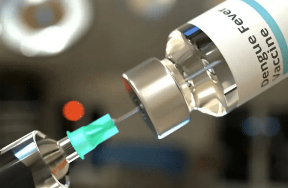 El Gobierno confirmó un plan de vacunación contra el Dengue 