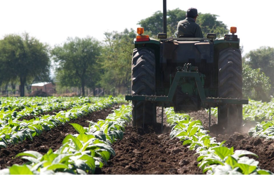 Celebran la incorporación del Capítulo del Tabaco en la Ley Bases