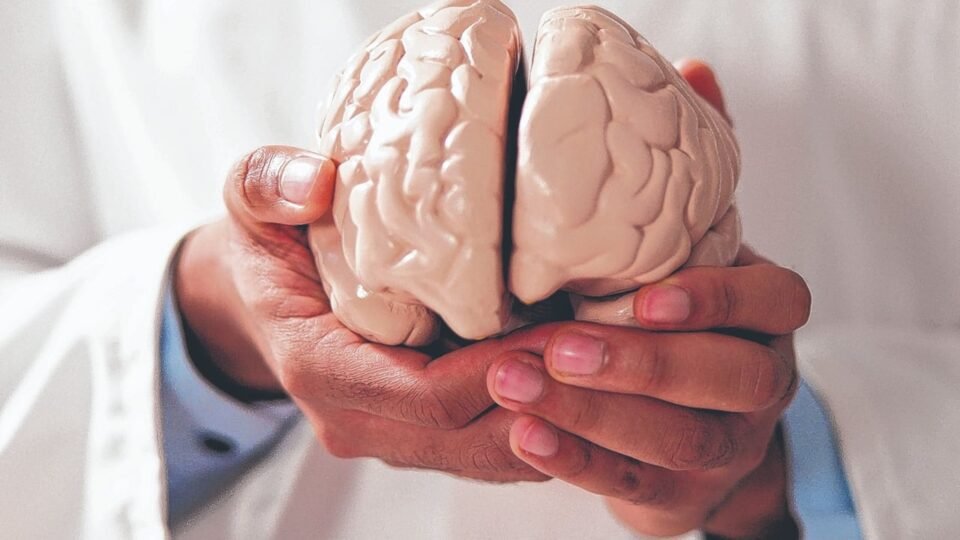 Hoy 22 de Julio: Día Mundial del Cerebro