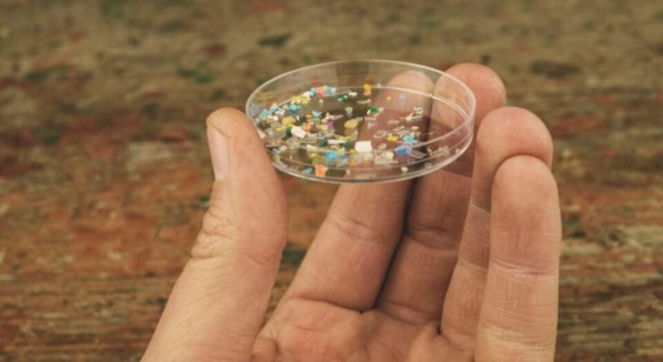 Descubrieron más fragmentos de plástico en el cerebro 