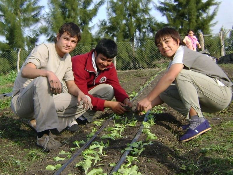 Hoy 6 de Agosto: Día de la Enseñanza Agropecuaria