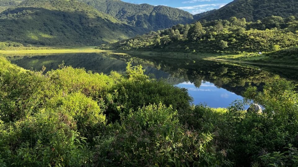 Jujuy recibirá fondos para el cuidado de bosques nativos 