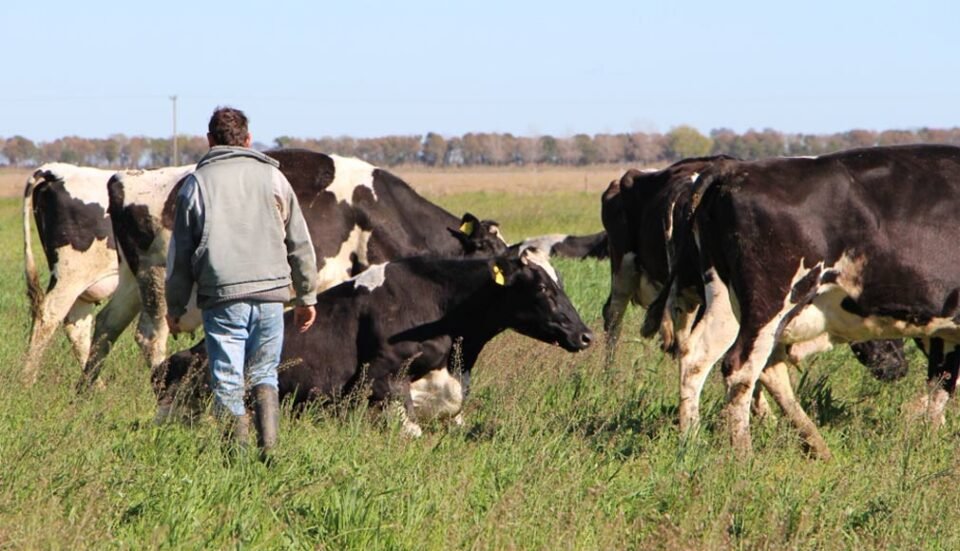 Eliminaron retenciones a algunos productos agroindustriales 