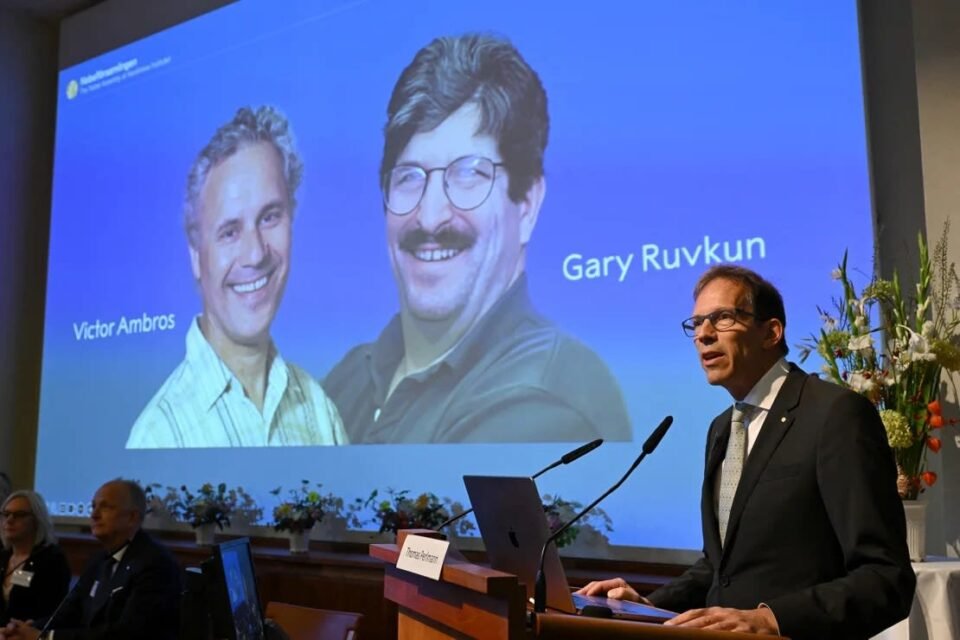 Otorgaron el Premio Nobel de Medicina 2024 a Victor Ambros y Gary Ruvkun 