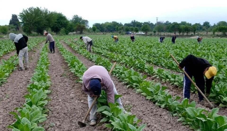 La Cámara de Tabaco y La Quiaca, firmaron un convenio de trabajo 