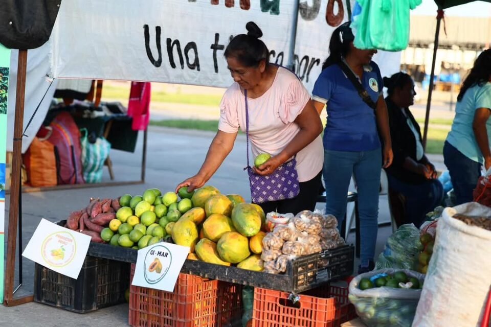 Realizarán el Encuentro Provincial de Ferias Campesinas 