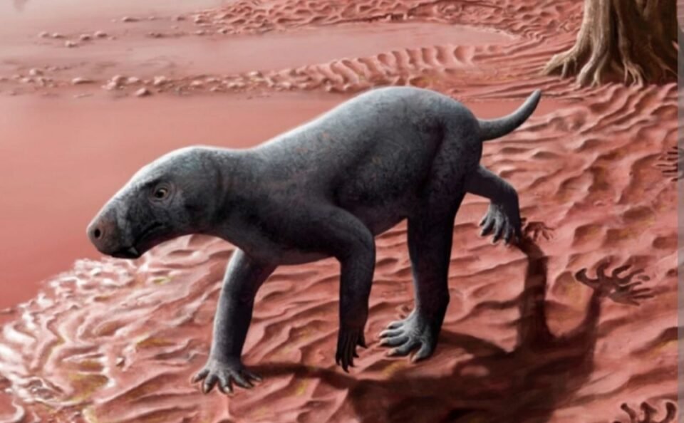 Descubren al mamífero más antiguo del mundo 