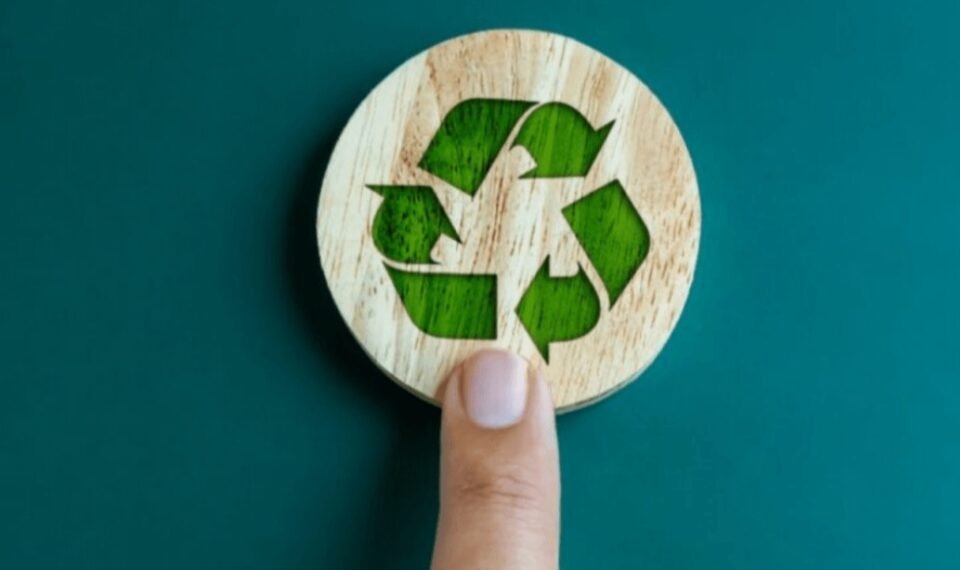 Qué es la economía circular 