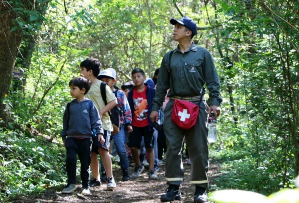 Lanzaron en programa “Yungueritos en Vacaciones” 