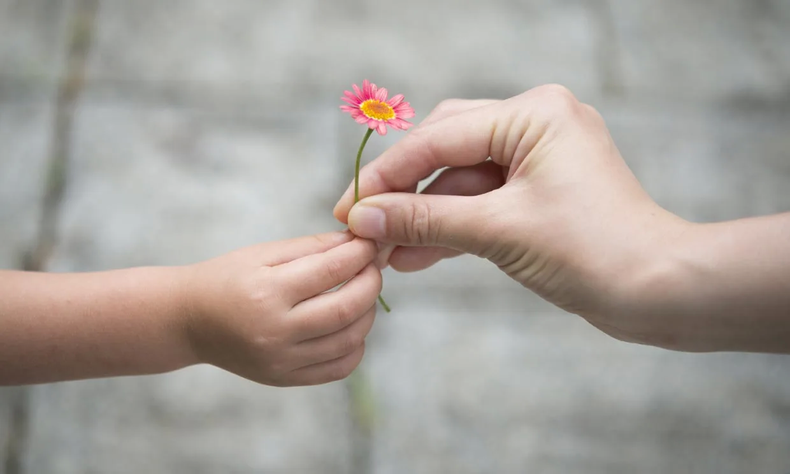 Hoy 11 de enero, Día del Agradecimiento 