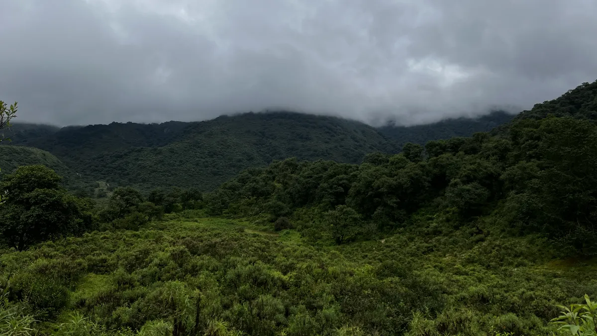 Jujuy recibió fondos para la conservación de bosques nativos ...