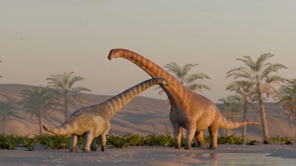 Descubren un dinosaurio en la Patagonia