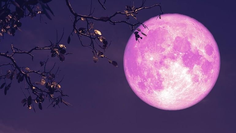 Luna Rosa: Cuándo podrá verse