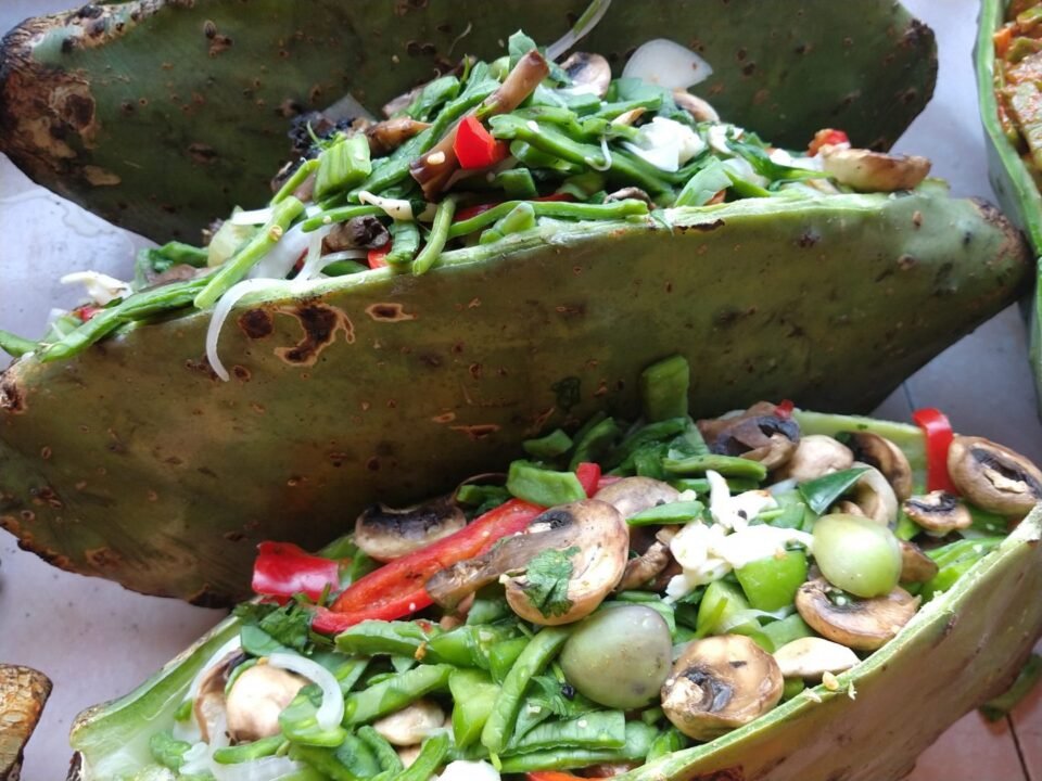 Realizarán un Taller de Producción de Penca 