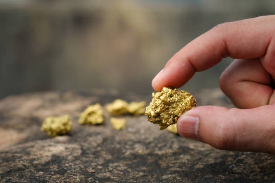 Descubren que el oro se podría cultivar 