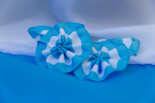 Hoy 18 de mayo, Día de la Escarapela 