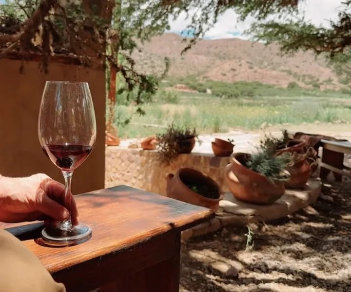 Lanzarán las Rutas del Vino en Jujuy 