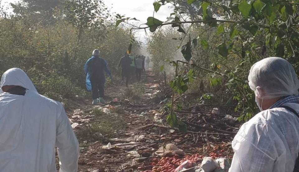 Analizan restos óseos para saber si se trata de Tamara Fierro