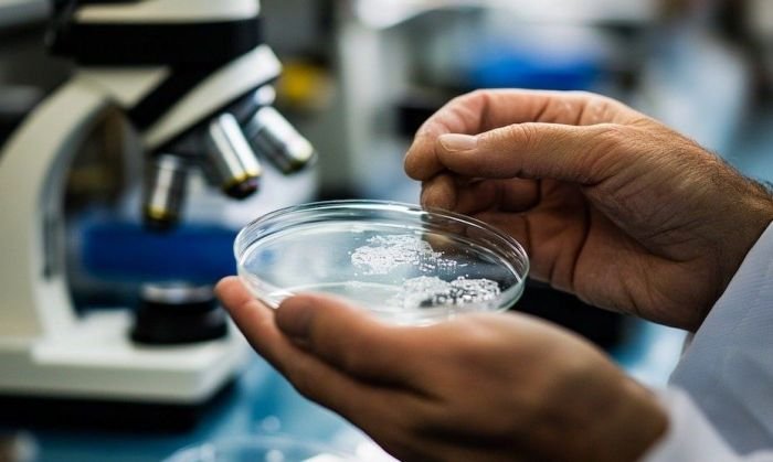 Descubrieron un nuevo circuito molecular 