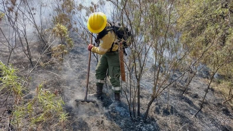 Emitieron un alerta por los incendios forestales en Jujuy 