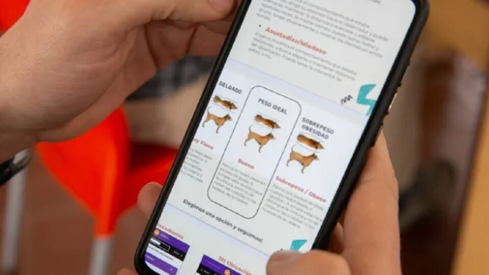 Desarrollaron una App para registrar a perros callejeros
