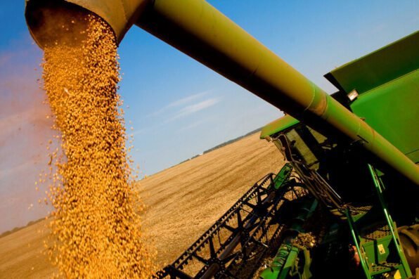 Oficializaron la baja de retenciones al maíz, girasol y la carne