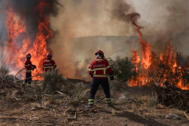 Hoy 18 de agosto, Día Mundial de la Prevención de Incendios Forestales
