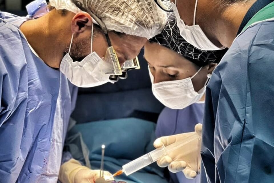 Se realizaron 48 ablaciones en lo que va del año 