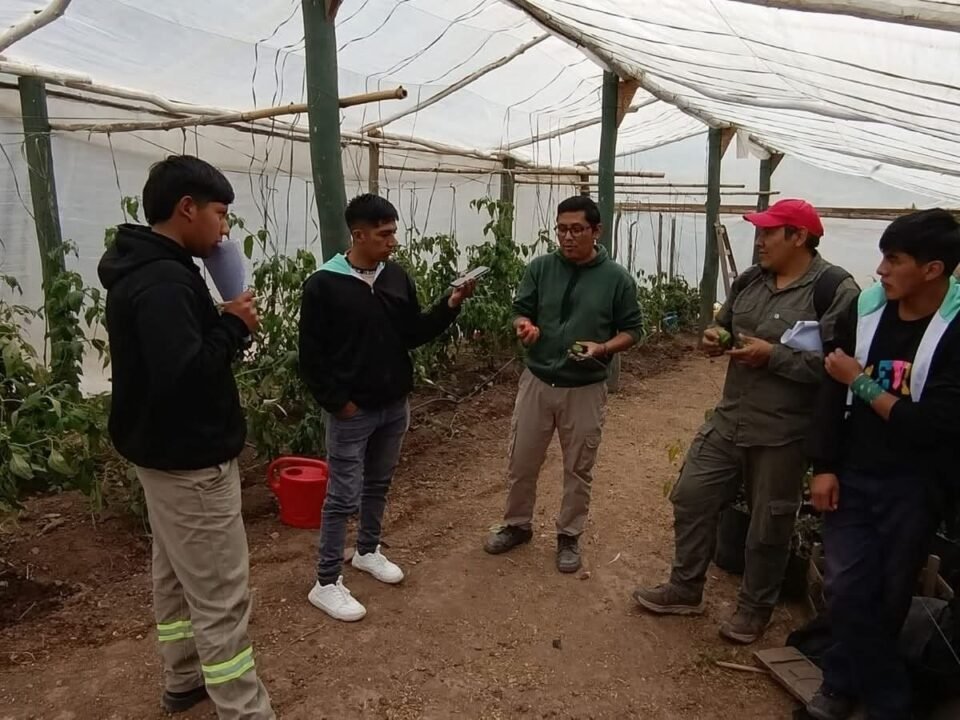 Jujuy participará en las Olimpiadas Agropecuarias 2025