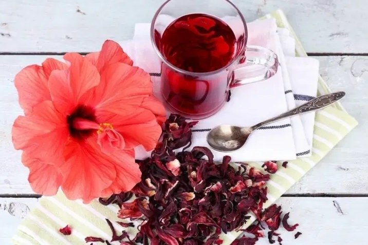 Qué beneficios aporta la flor de Jamaica 