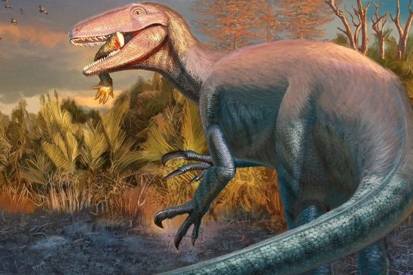 Descubren un nuevo dinosaurio en la Patagonia 