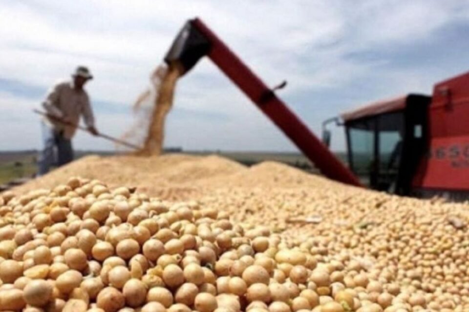 Finalizó la quita de retenciones al sector agropecuario 