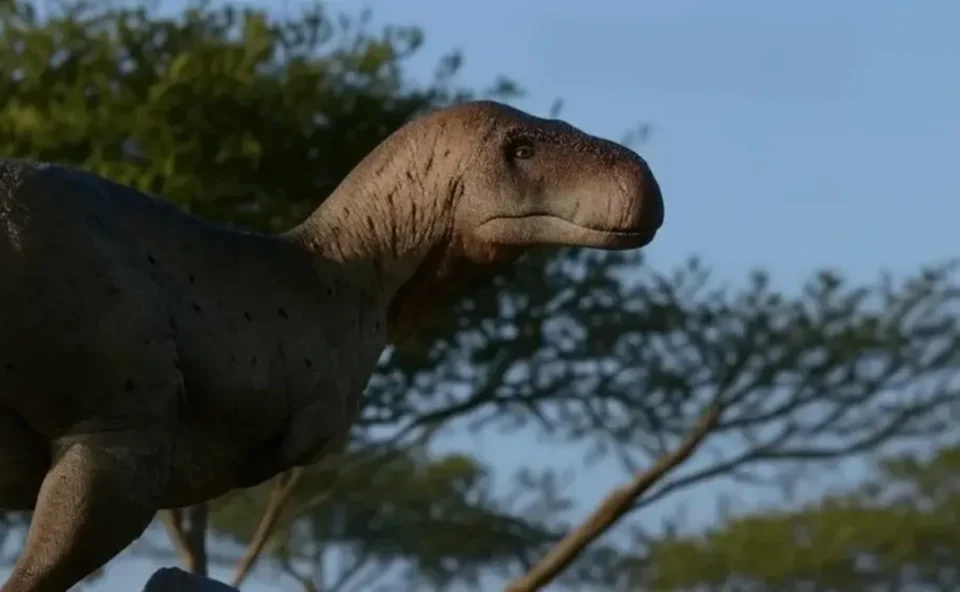 Descubren una nueva especie de dinosaurio carnívoro