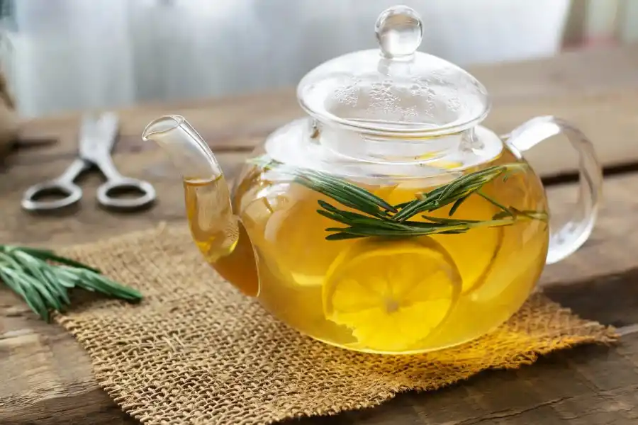 Qué beneficios aporta el té de romero 