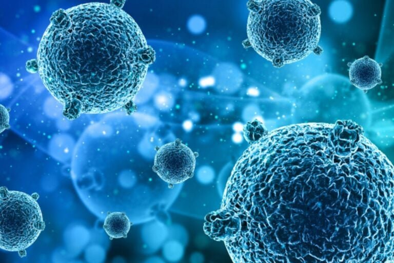 Descubren un antibiótico natural 