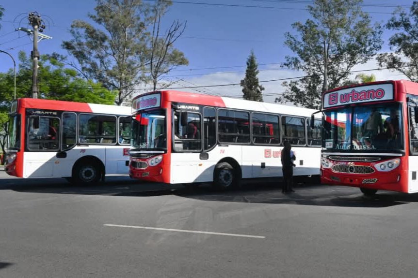 Presentaron tres colectivos nuevos  Presentaron tres colectivos nuevos