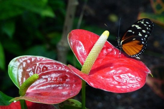 Hoy 3 de noviembre, Día Internacional de las Reservas de Biosfera   