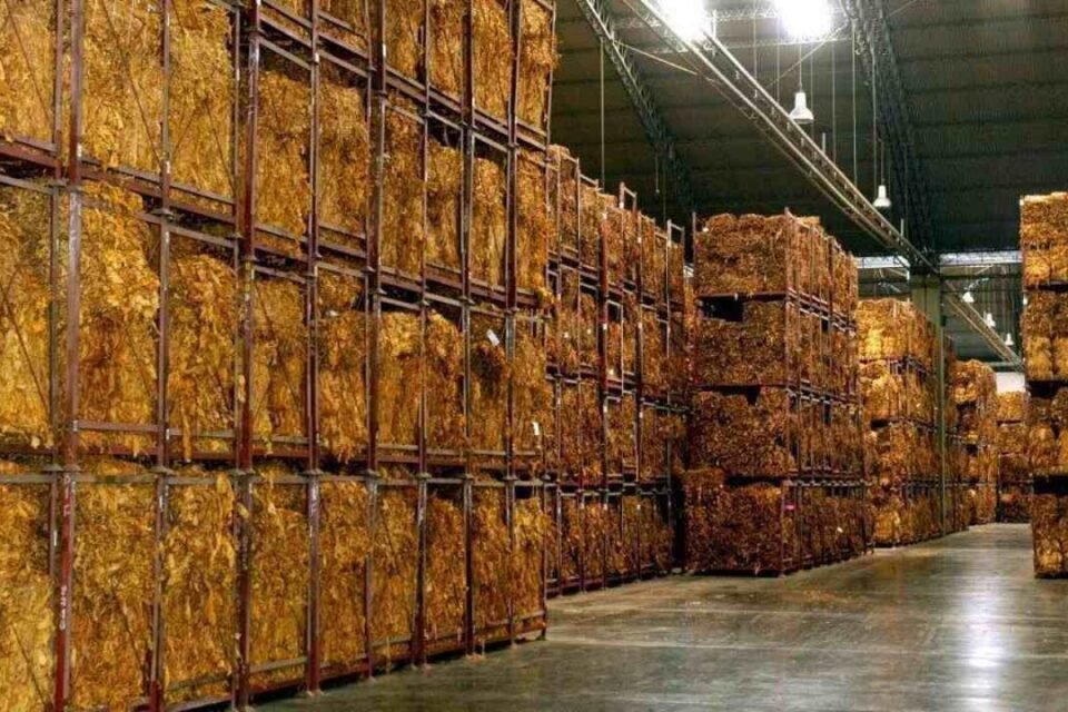 Cierra sus puertas la planta de acopio de Alliance One en Perico 