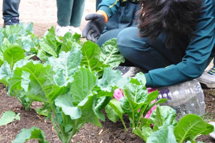 Realizarán el taller de “Huertas en Acción” 