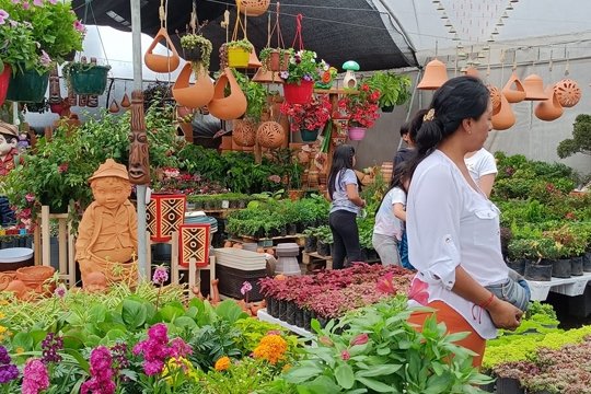 Se viene la 5° edición de la Exposición “Jujuy Florece”