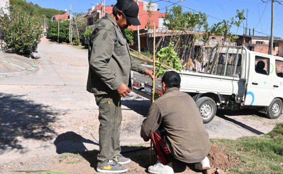 San Salvador de Jujuy supera los 3000 ejemplares plantados 