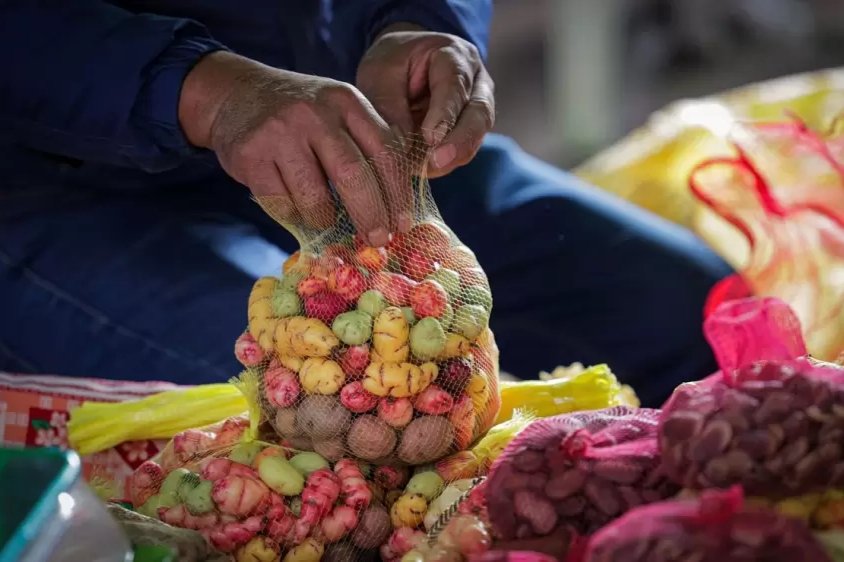 Se viene la última edición del año de la Feria Campesina Pucará